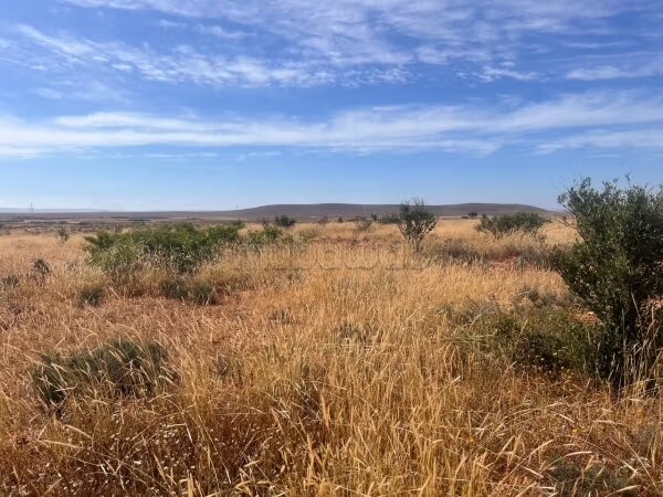 Land for sale, 325 m² — Photo 3