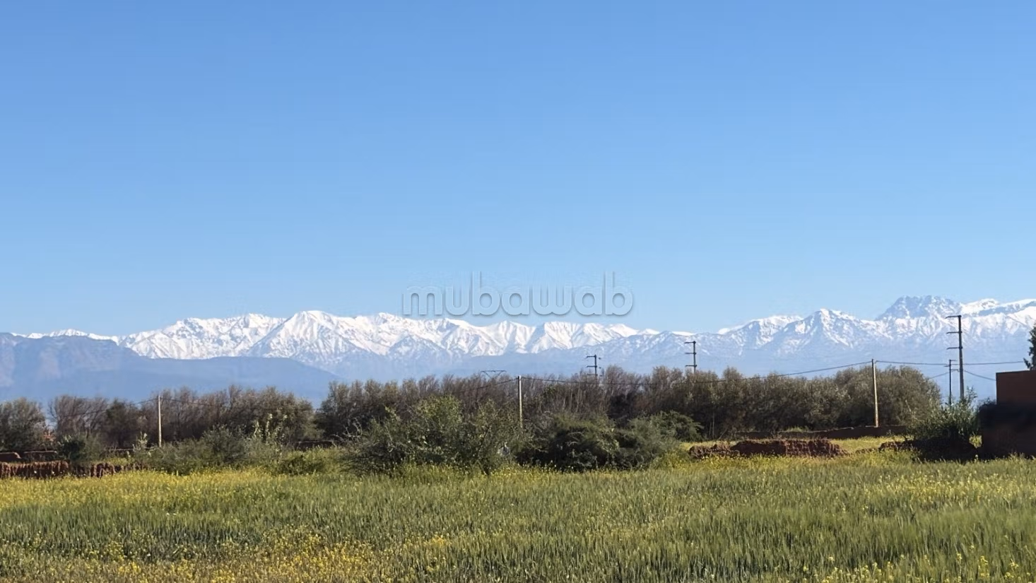 Terrain 10 000 m² à vendre à Marrakech — Photo 2