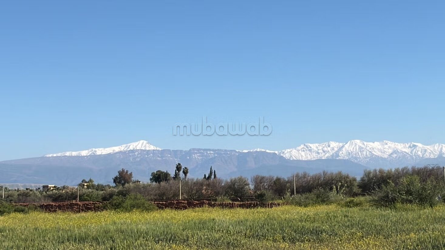 Terrain 10 000 m² à vendre à Marrakech — Photo 3
