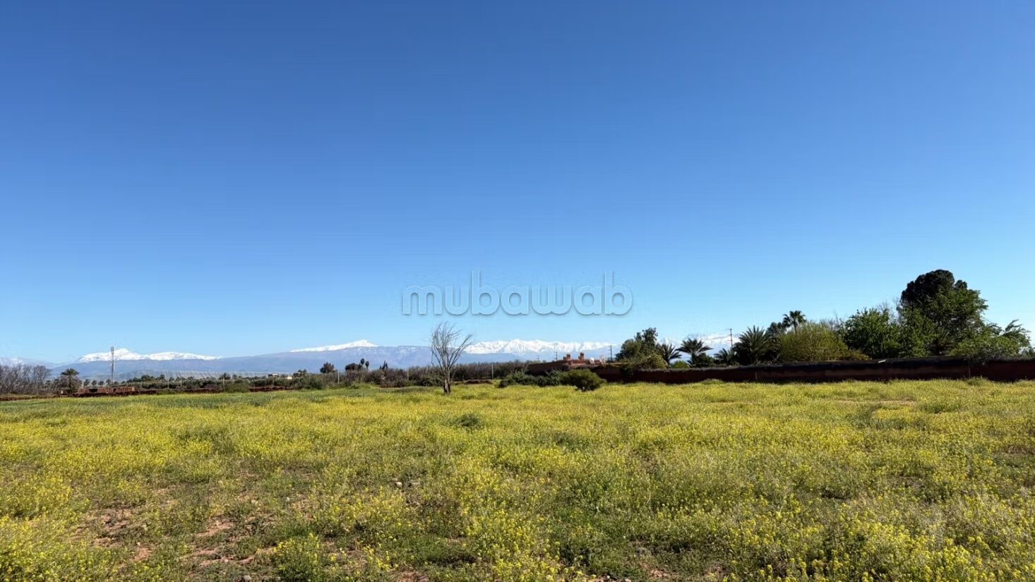 Terrain 10 000 m² à vendre à Marrakech — Photo 5