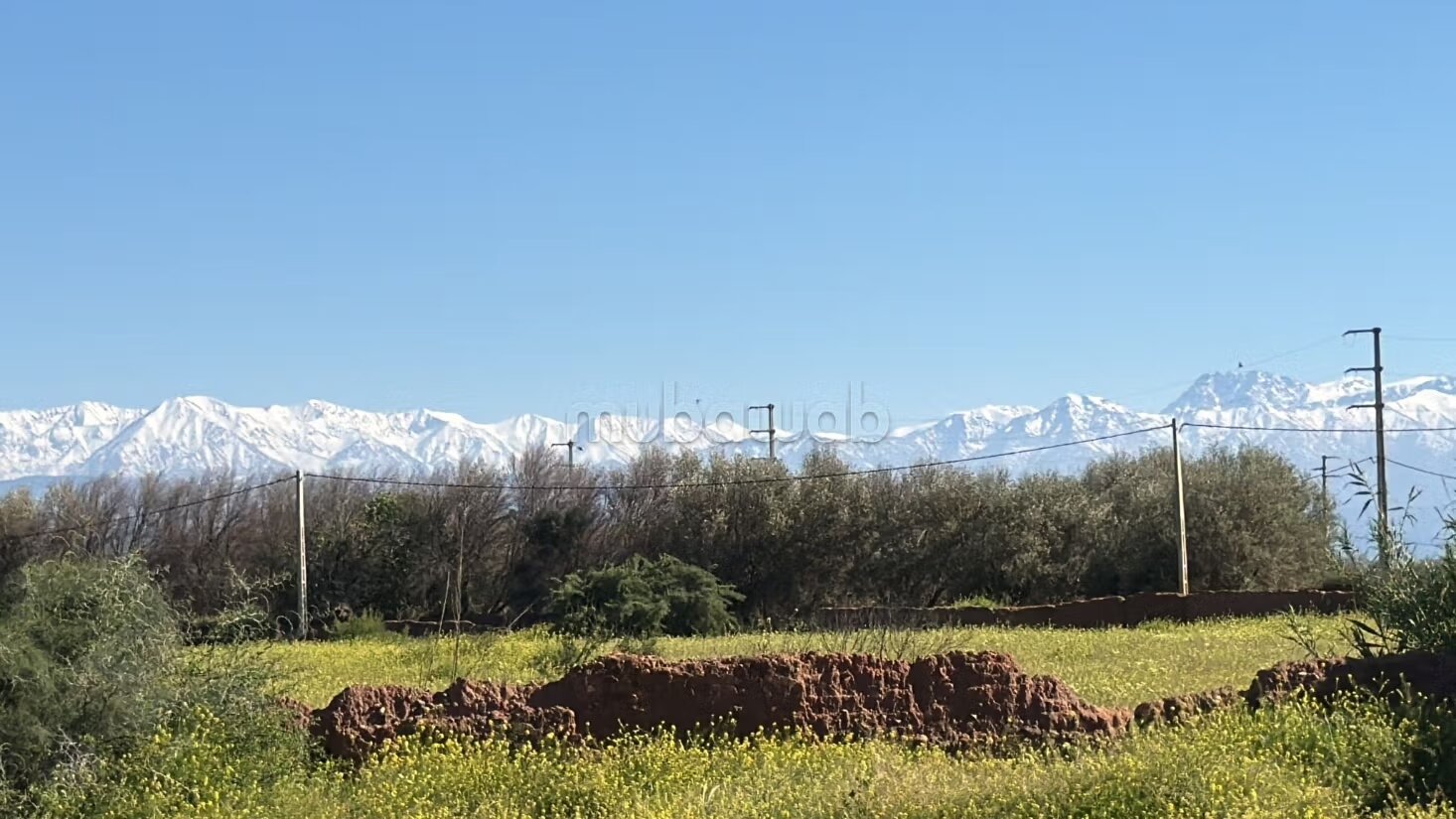 Terrain 10 000 m² à vendre à Marrakech — Photo 8