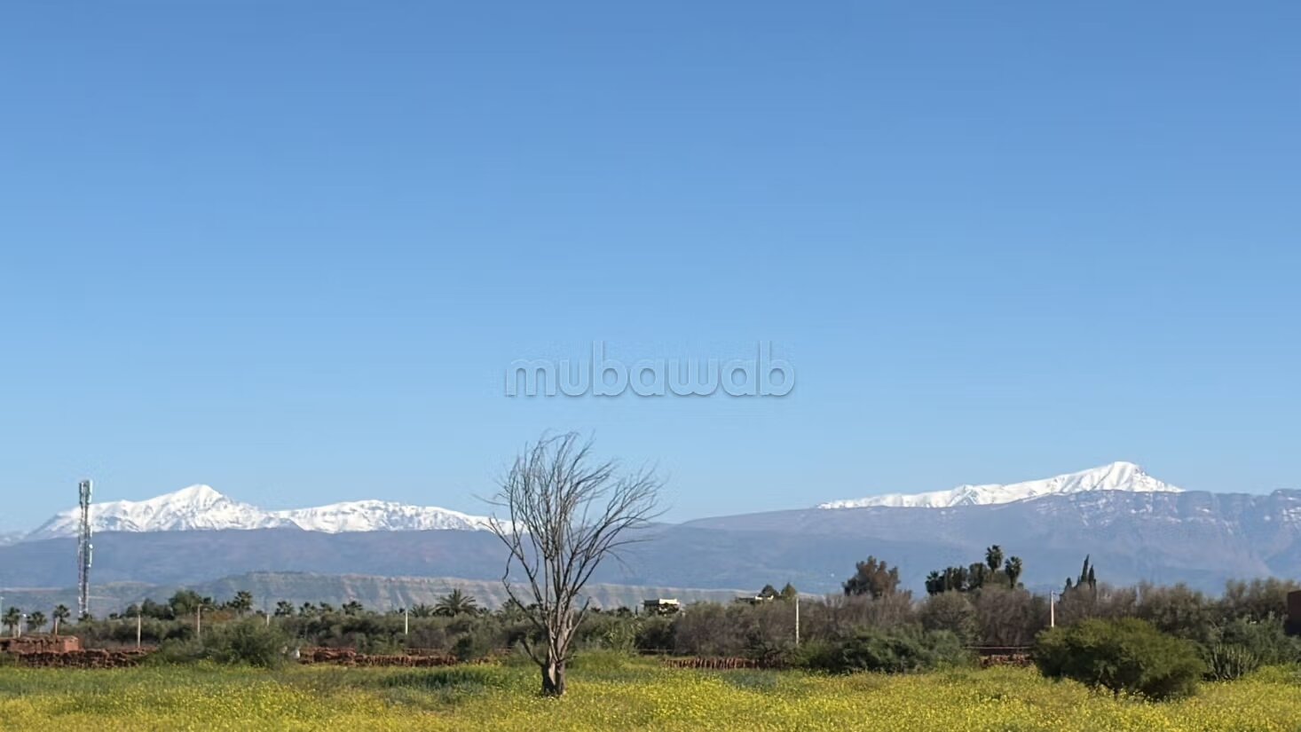 Terrain 10 000 m² à vendre à Marrakech — Photo 11