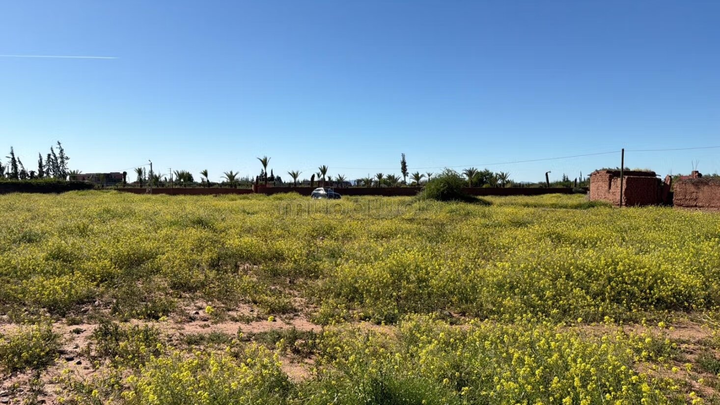 Terrain 10 000 m² à vendre à Marrakech — Photo 12