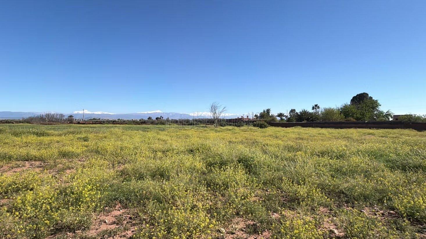 Terrain 10 000 m² à vendre à Marrakech — Photo 13