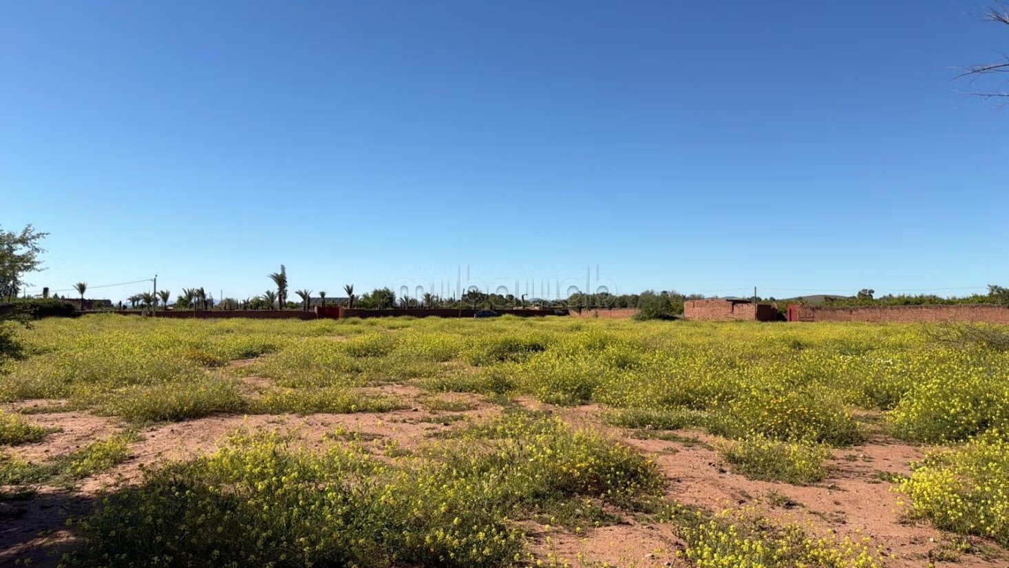 Terrain 10 000 m² à vendre à Marrakech — Photo 16