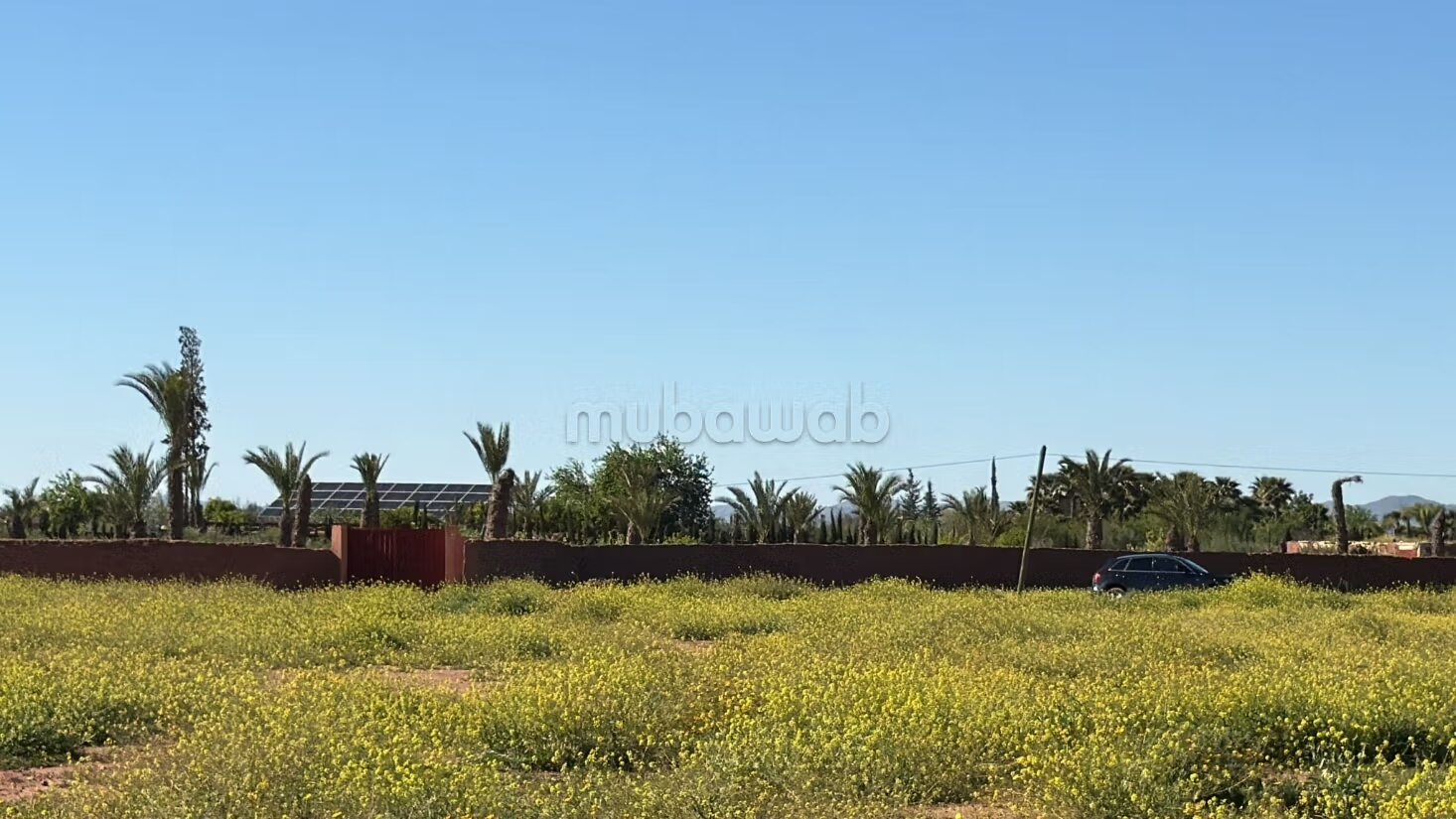 Terrain 10 000 m² à vendre à Marrakech — Photo 17