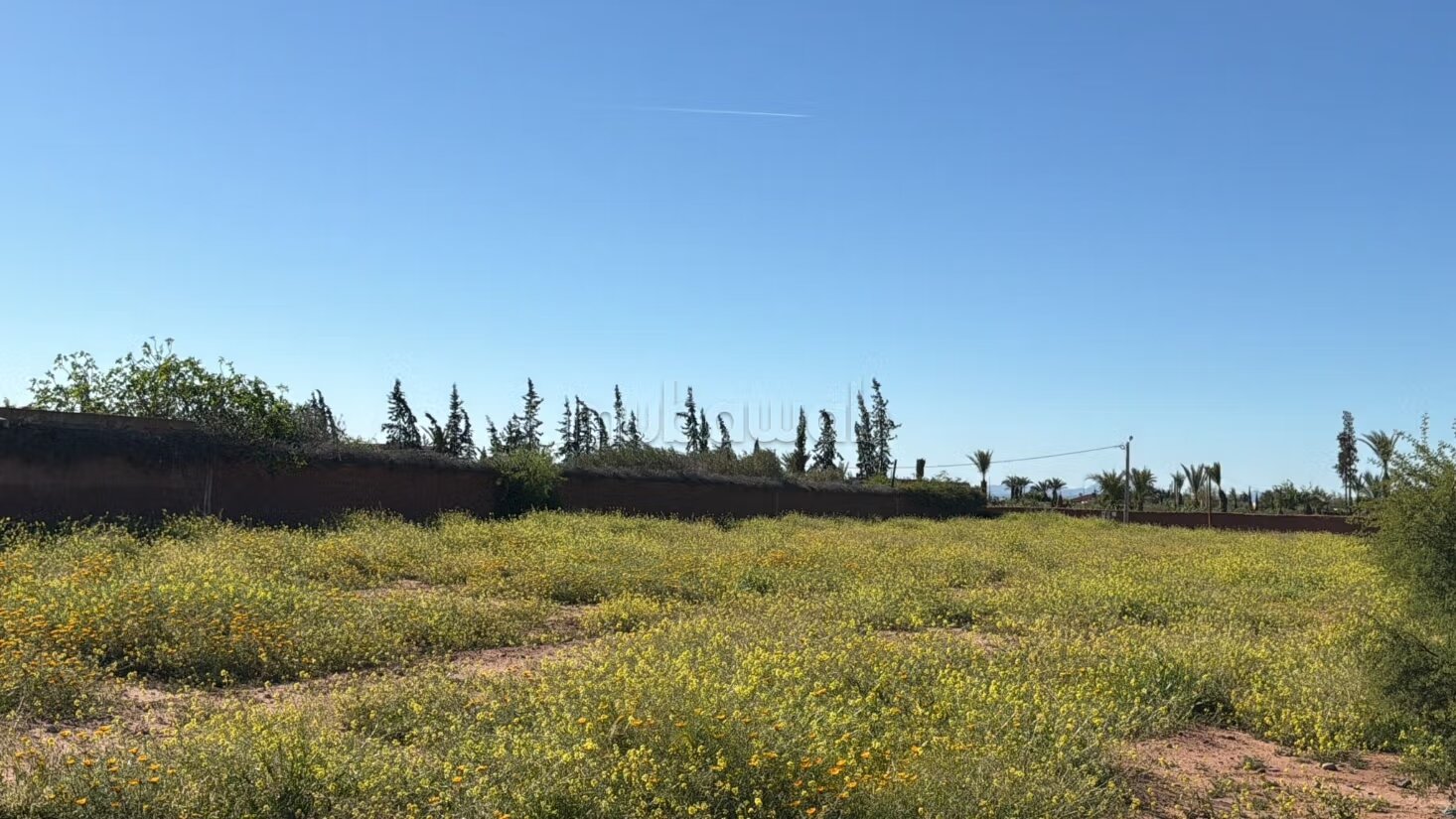 Terrain 10 000 m² à vendre à Marrakech — Photo 18