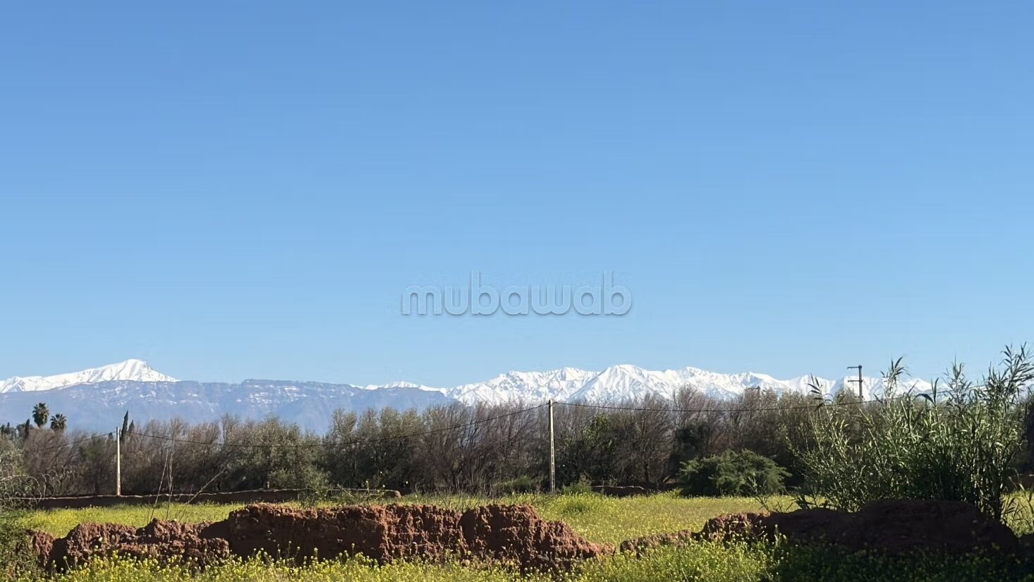 Terrain 10 000 m² à vendre à Marrakech — Photo 19