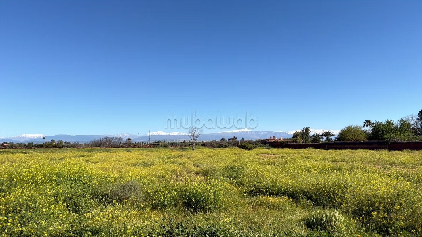 Terrain 10 000 m² à vendre à Marrakech — Photo 20