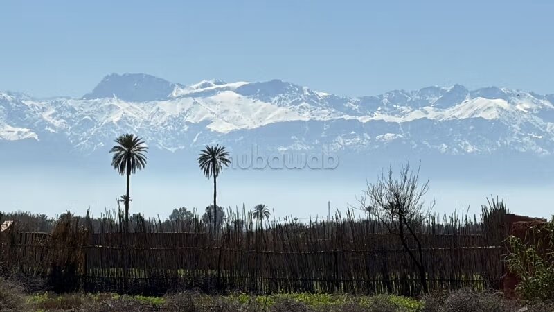 Terrain 10 000 m² à vendre à Marrakech — Photo 25