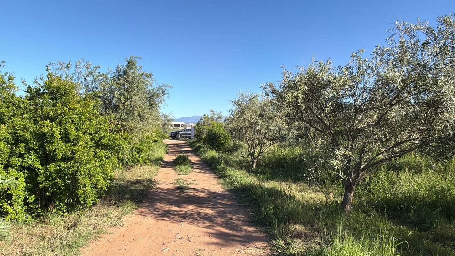 Agricultural Farm for Sale, 4 Hectares, 45 km from Marrakech — Photo 4