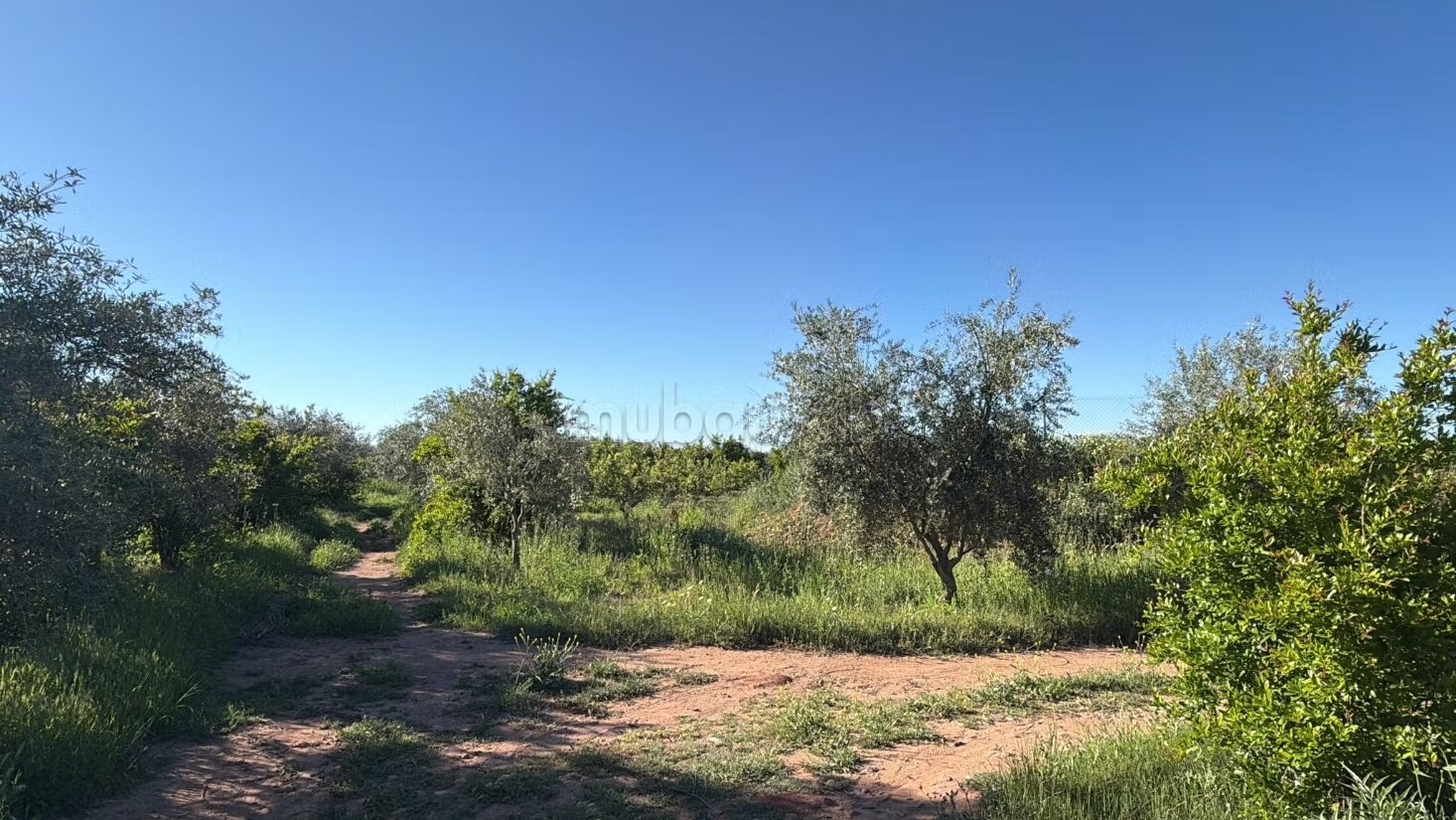 Agricultural Farm for Sale, 4 Hectares, 45 km from Marrakech — Photo 5