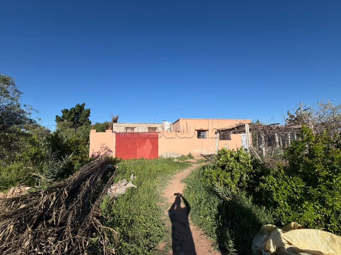 Agricultural Farm for Sale, 4 Hectares, 45 km from Marrakech — Photo 13
