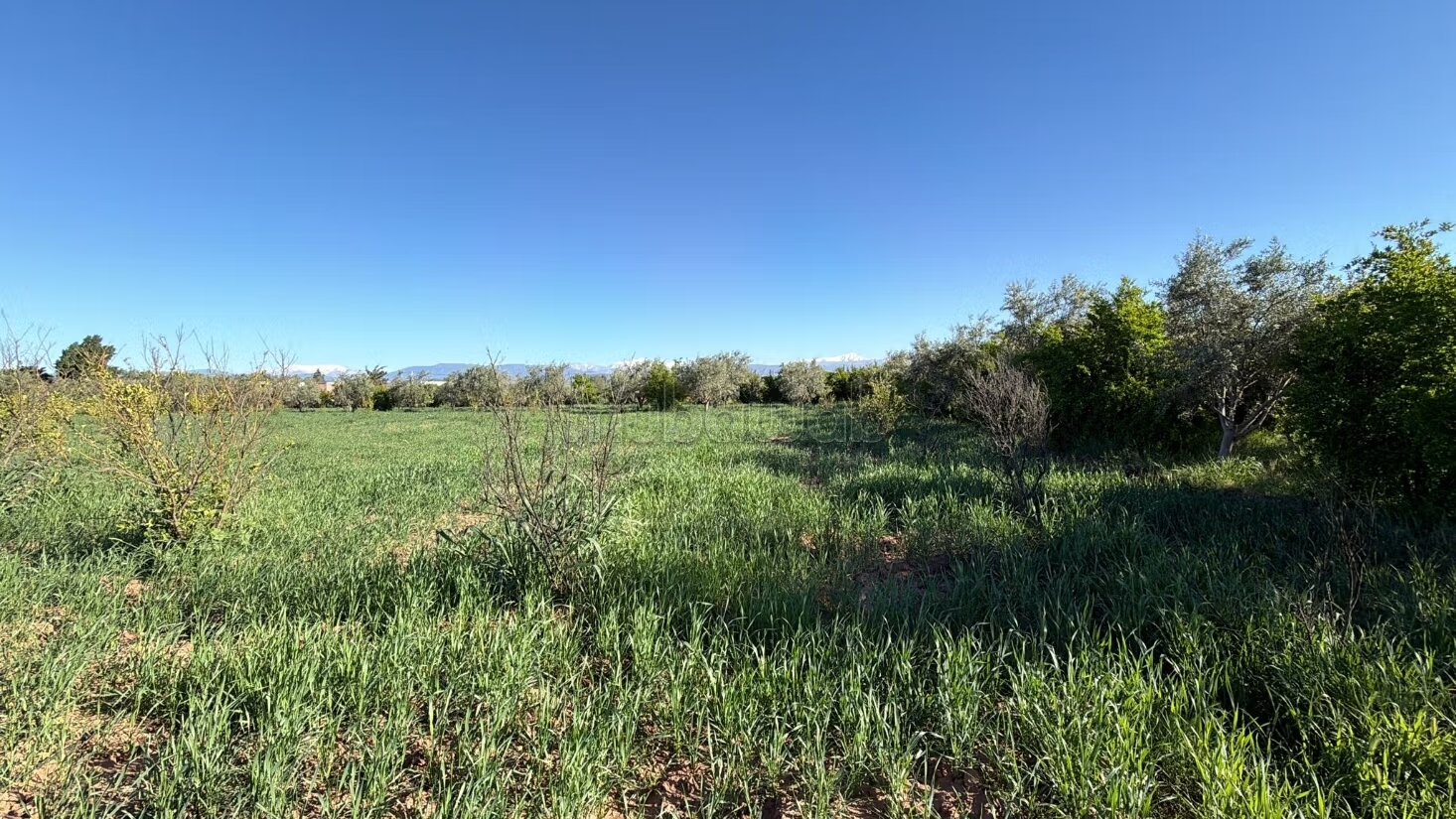 Agricultural Farm for Sale, 4 Hectares, 45 km from Marrakech — Photo 14