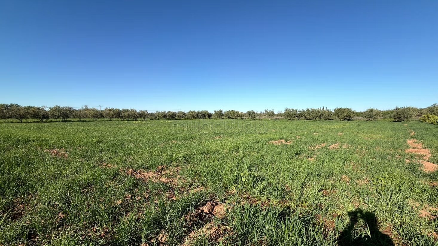 Agricultural Farm for Sale, 4 Hectares, 45 km from Marrakech — Photo 15