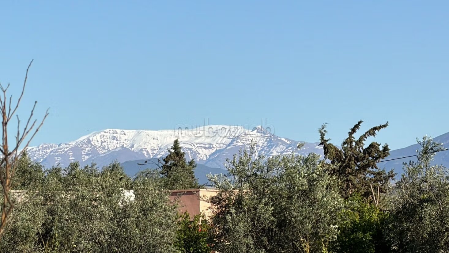 Agricultural Farm for Sale, 4 Hectares, 45 km from Marrakech — Photo 16