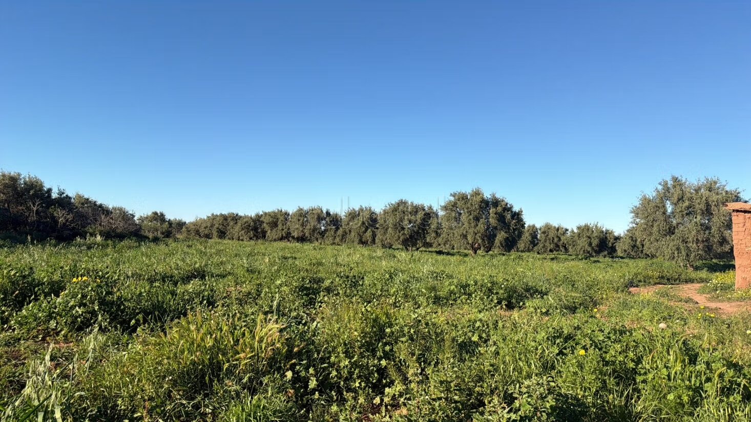 Agricultural Farm for Sale, 4 Hectares, 45 km from Marrakech — Photo 17