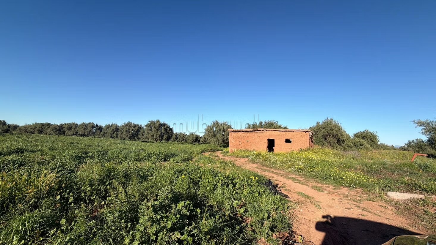 Agricultural Farm for Sale, 4 Hectares, 45 km from Marrakech — Photo 22