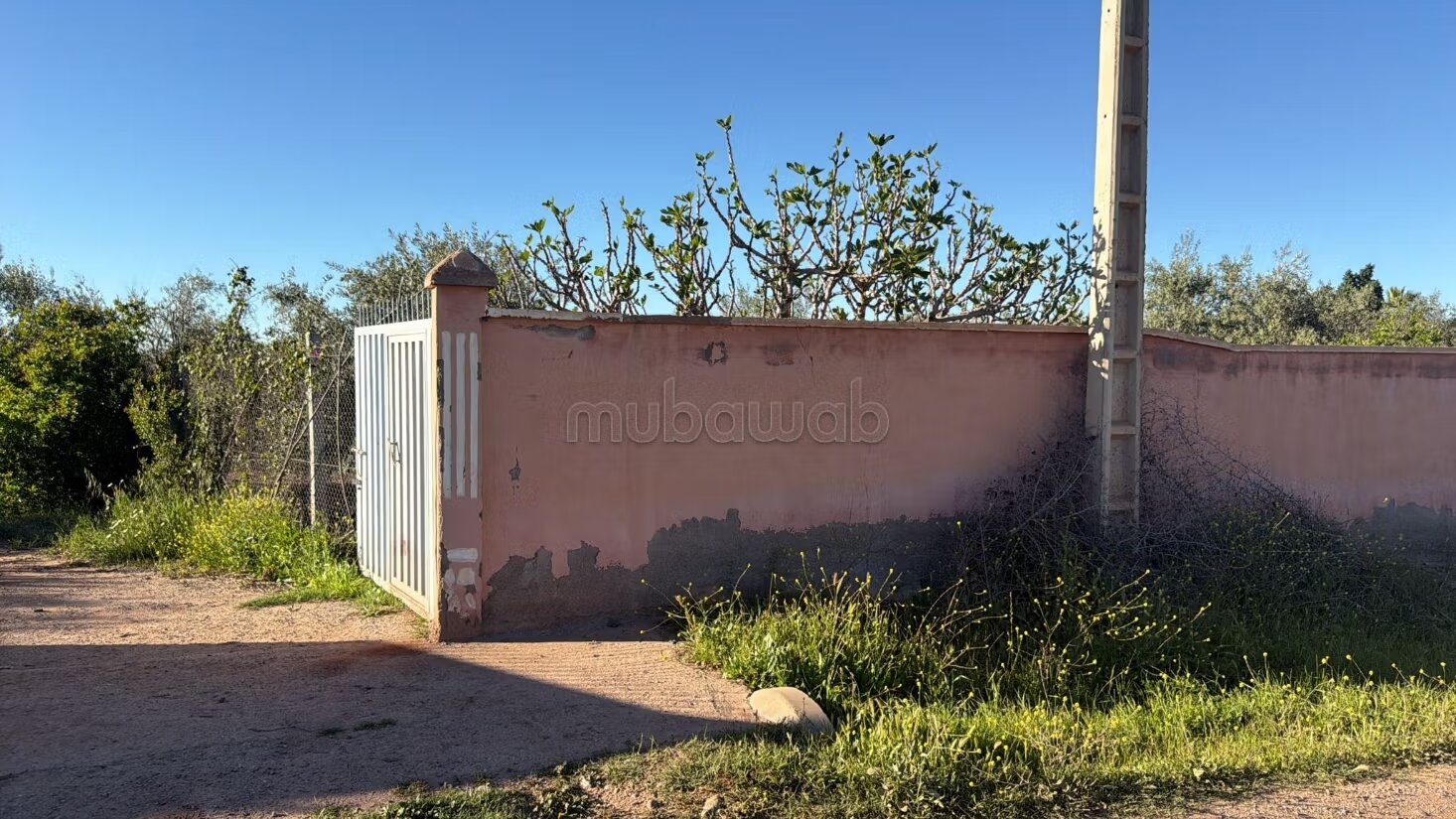 Agricultural Farm for Sale, 4 Hectares, 45 km from Marrakech — Photo 25