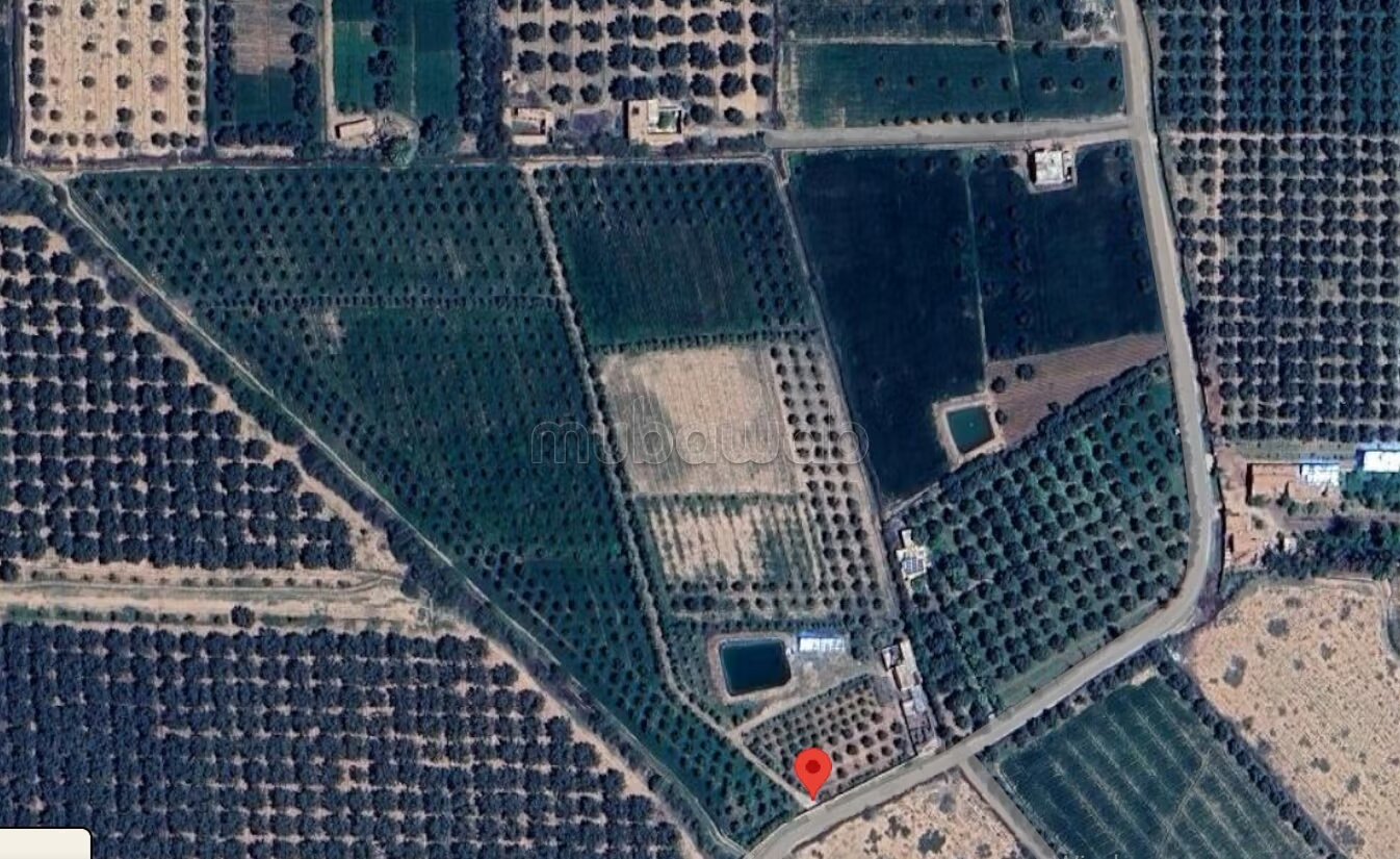 Agricultural Farm for Sale, 4 Hectares, 45 km from Marrakech — Photo 30