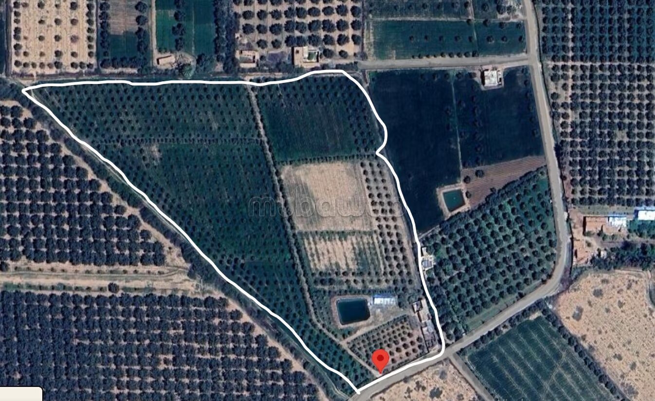 Agricultural Farm for Sale, 4 Hectares, 45 km from Marrakech — Photo 31