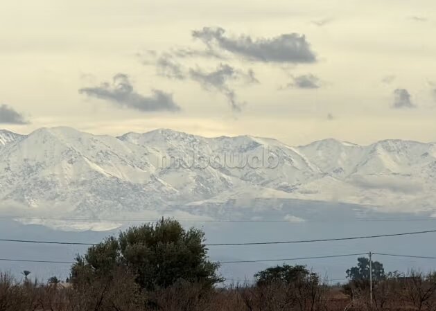 Land 10,000 m² for sale in Marrakech — Photo 7