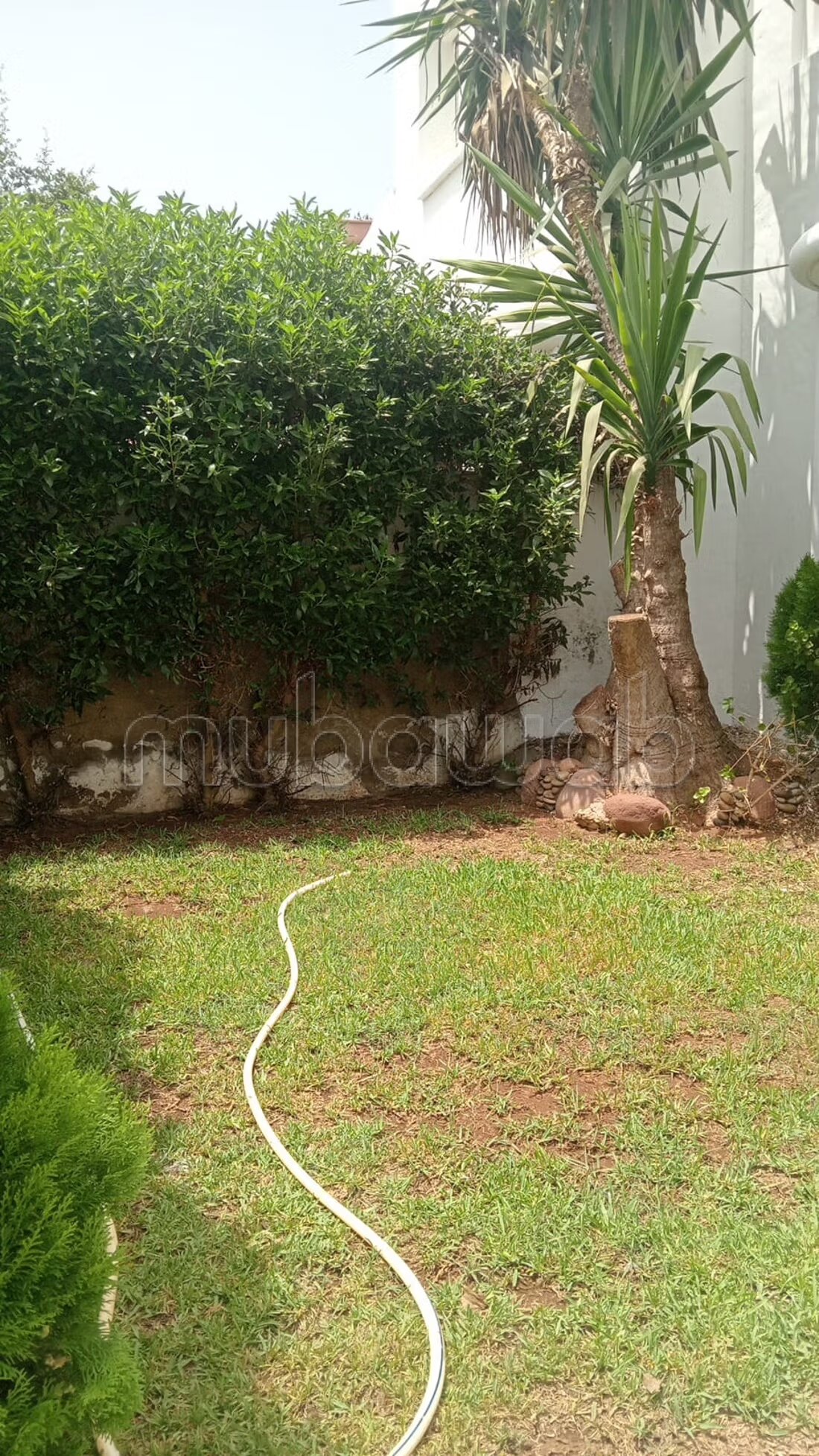 فيلا 120م² للإيجار في الدار البيضاء — Photo 17