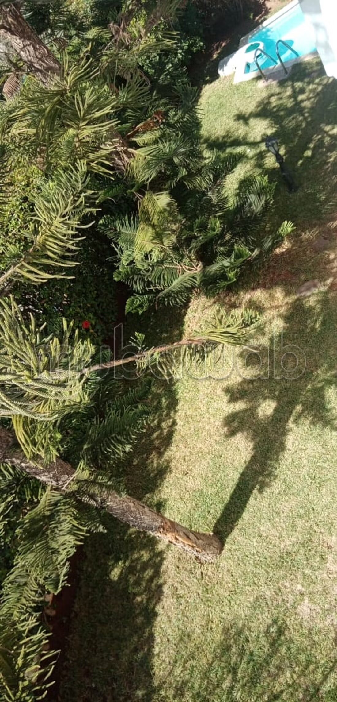 فيلا 120م² للإيجار في الدار البيضاء — Photo 130