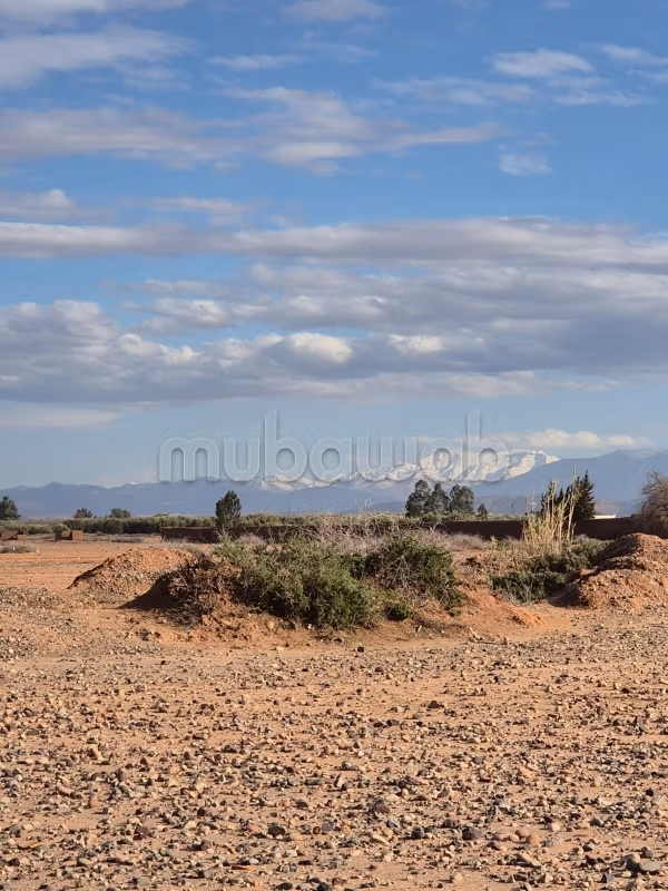 أرض للبيع 11600 م² في مراكش — Photo 6