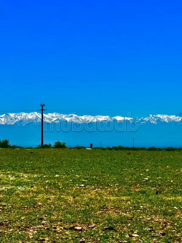 أرض للبيع 11600 م² في مراكش — Photo 18