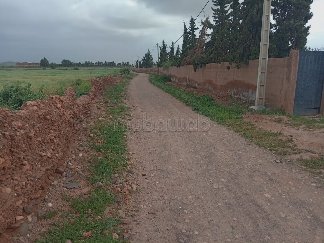 مزرعة للبيع 20000 م² في مراكش — Photo 17