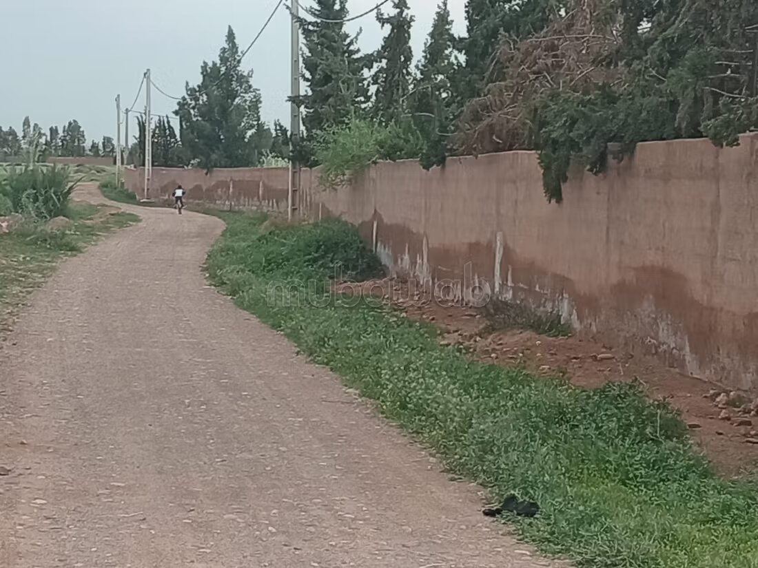 مزرعة للبيع 20000 م² في مراكش — Photo 18