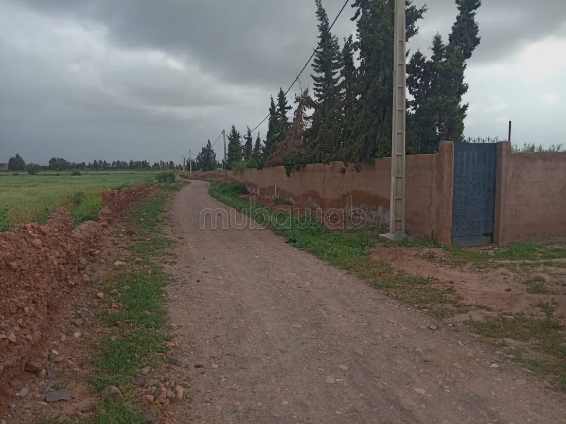 مزرعة للبيع 20000 م² في مراكش — Photo 23