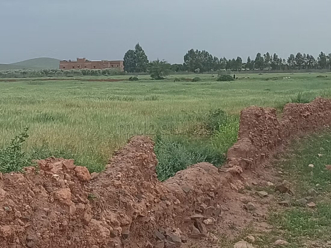 مزرعة للبيع 20000 م² في مراكش — Photo 26
