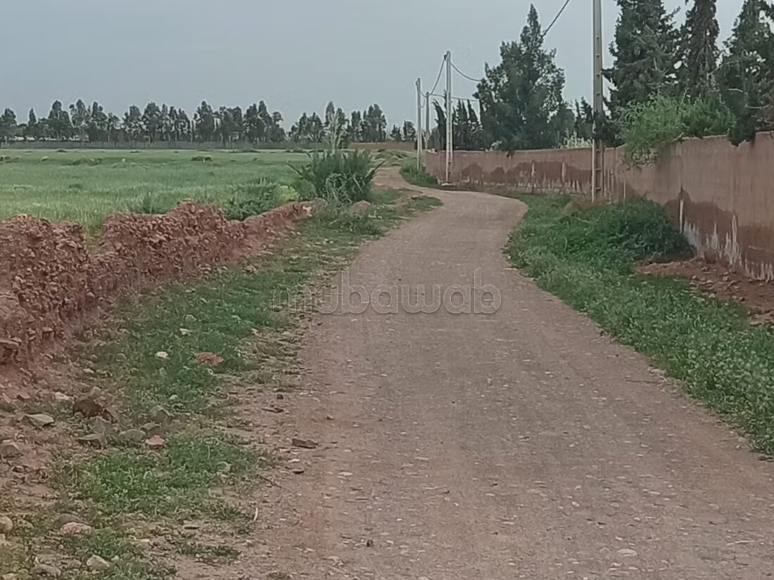 مزرعة للبيع 20000 م² في مراكش — Photo 28
