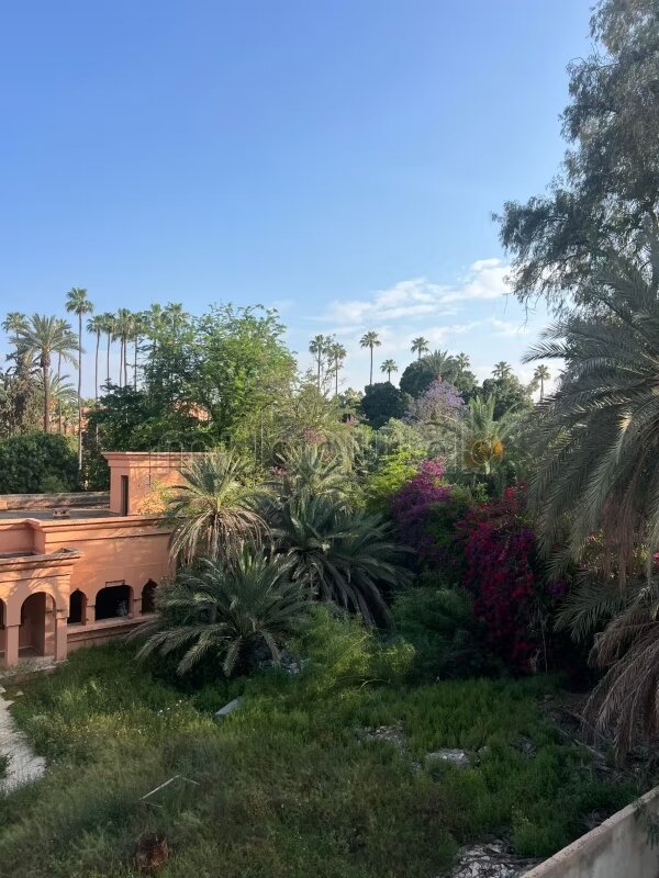 أرض للبيع 1400 م² في مراكش — Photo 3