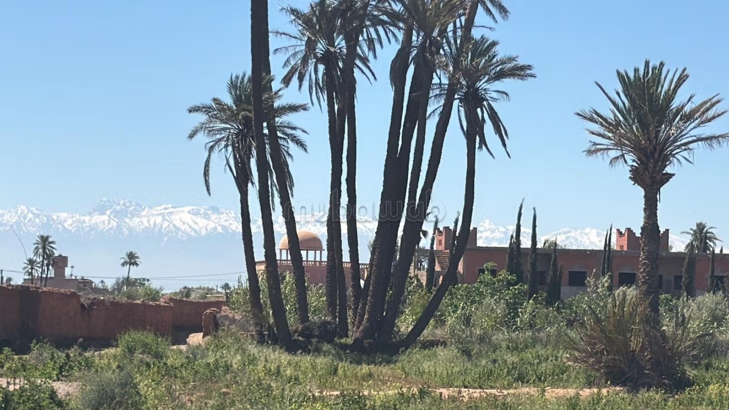 Titrated land of 13400 m² with clear view on Atlas for sale in Marrakech — Photo 3