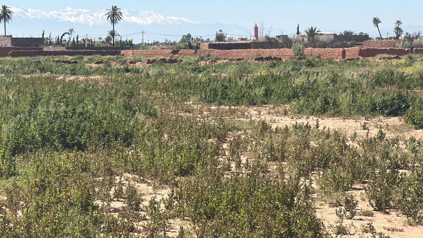 Titrated land of 13400 m² with clear view on Atlas for sale in Marrakech — Photo 11