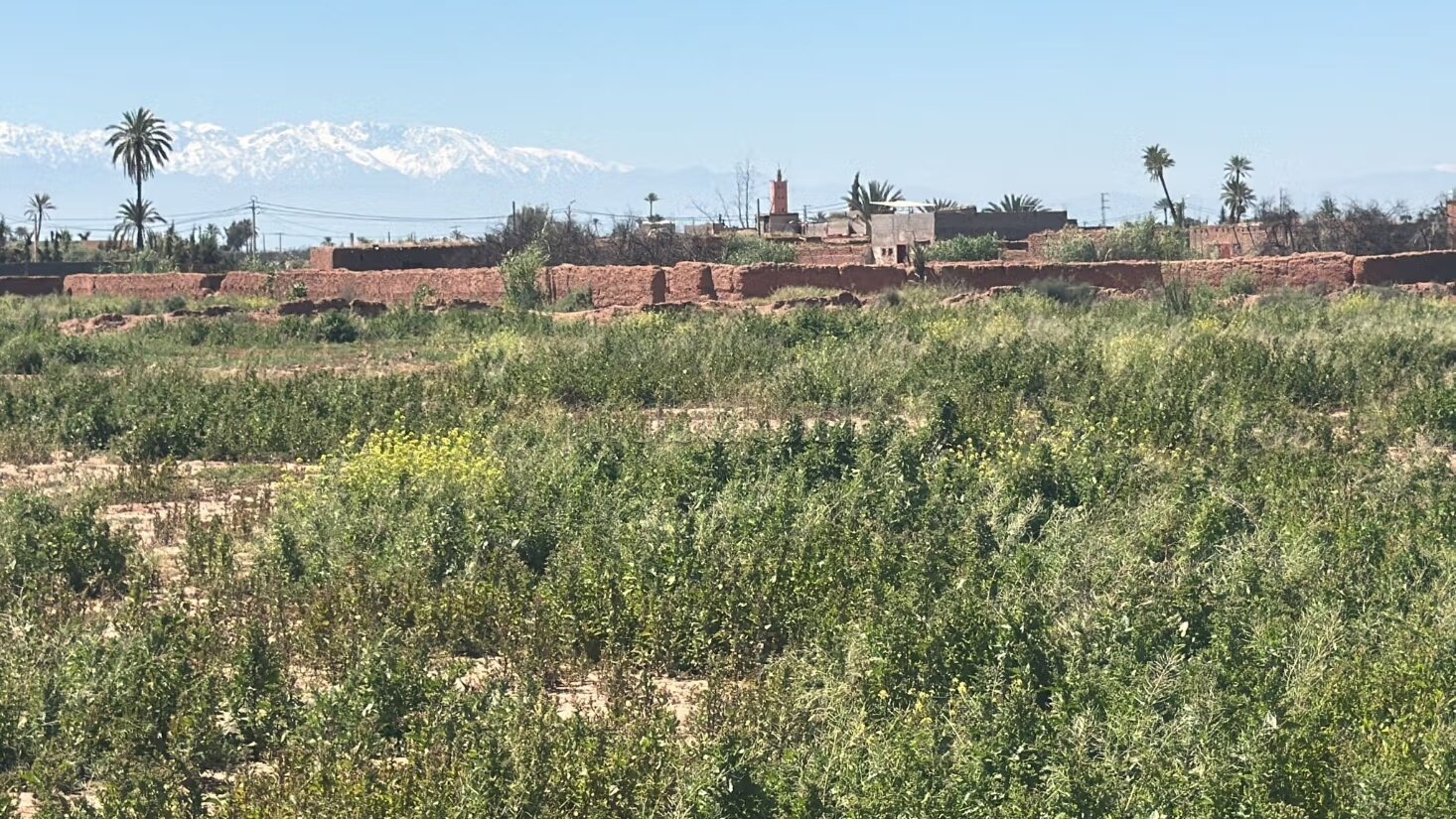 Titrated land of 13400 m² with clear view on Atlas for sale in Marrakech — Photo 24