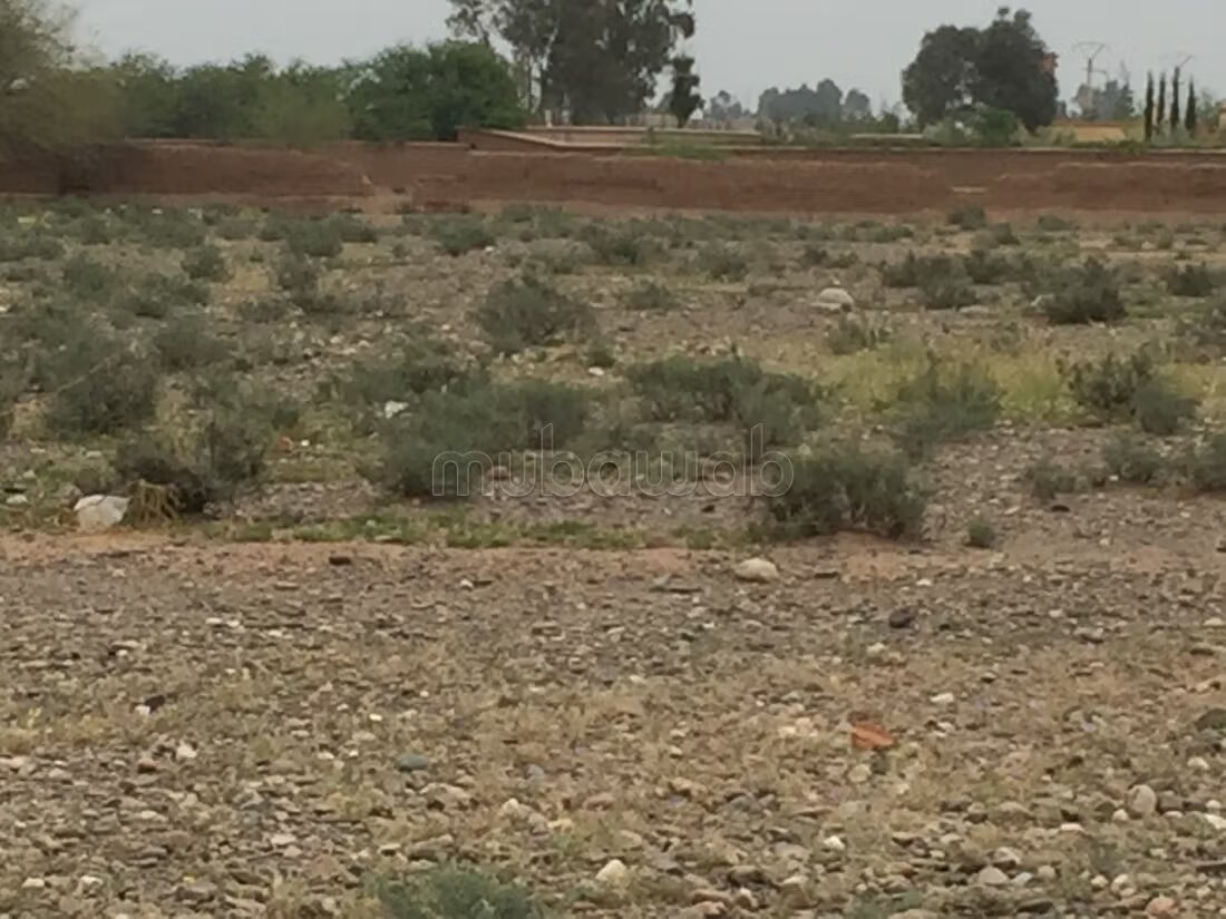 Terrain 10470 m² à vendre à Marrakech — Photo 2