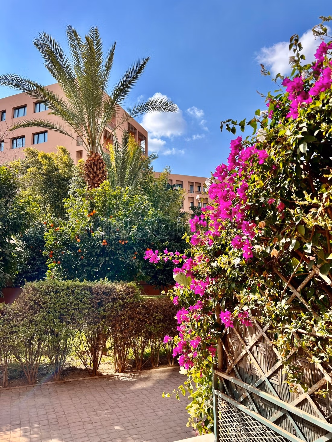Appartement 265 m² à louer à Marrakech — Photo 31