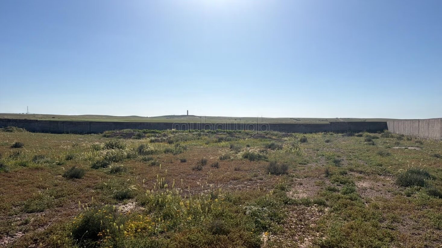 Terrain 1 Hectare, route d'Amiziz vue exceptionnelle à vendre à Marrakech — Photo 16