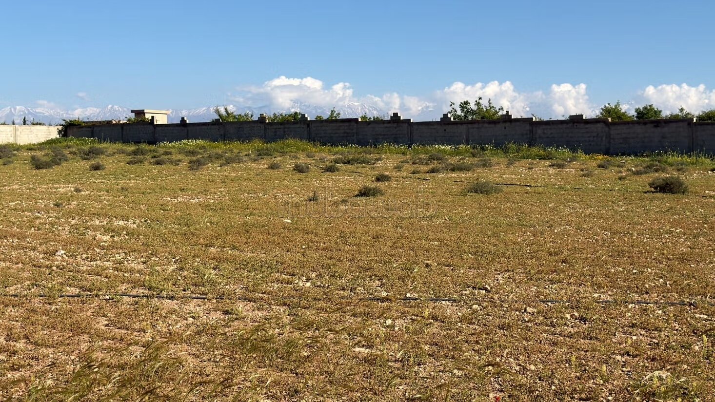 Terrain 1 Hectare, route d'Amiziz vue exceptionnelle à vendre à Marrakech — Photo 26