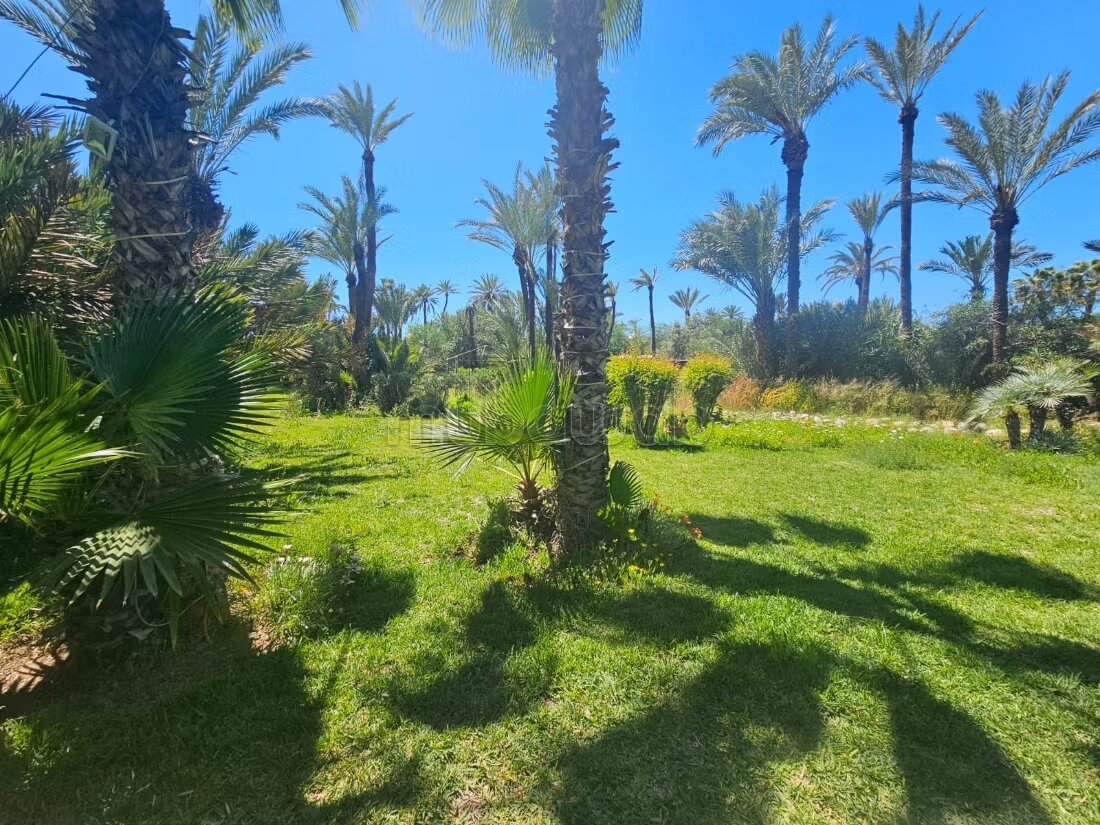 Appartement 120 m² à louer à Marrakech (Ennakhil Palmeraie) — Photo 222