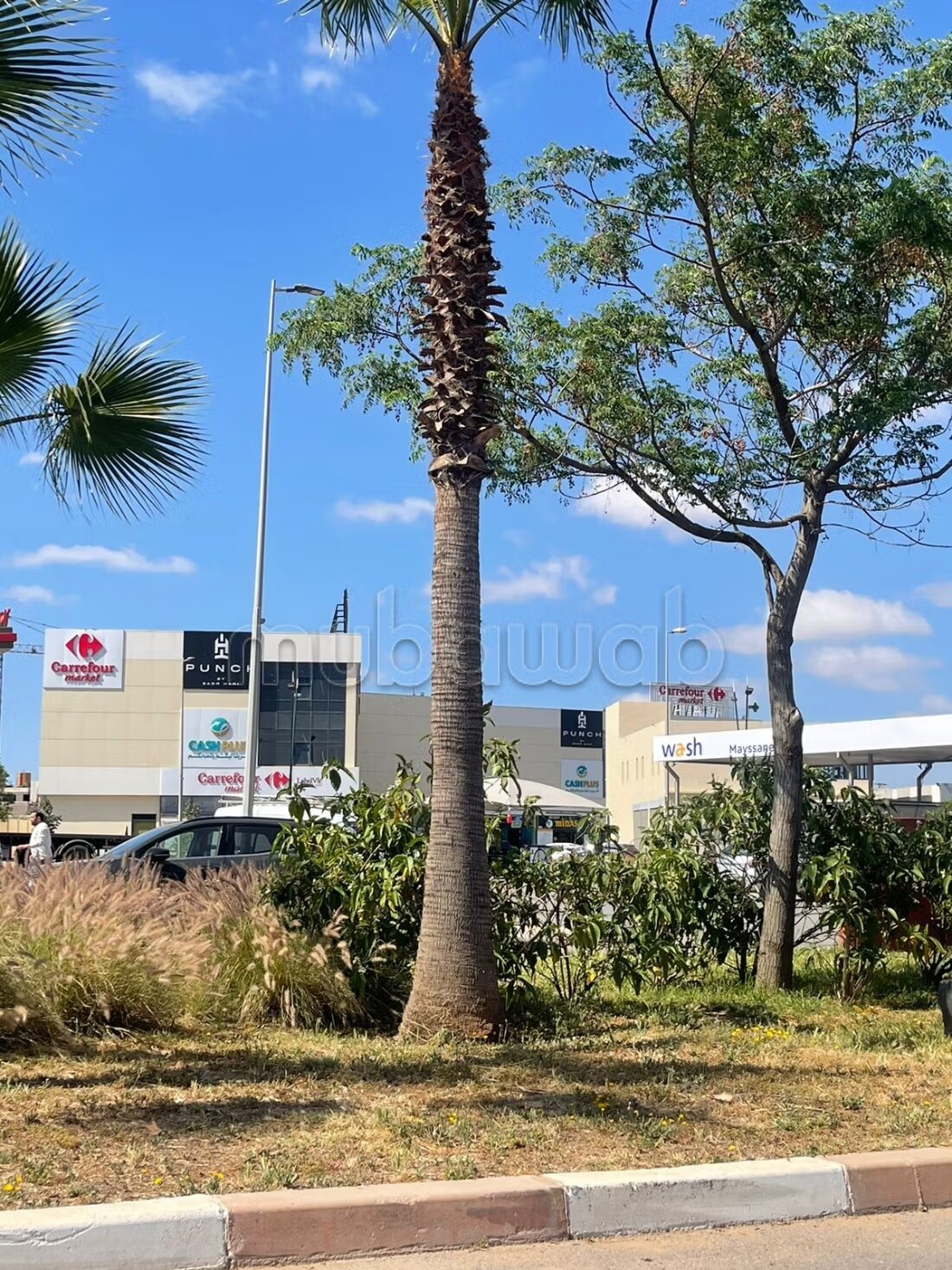 Plot 300 m² for Sale in Casablanca — Photo 29