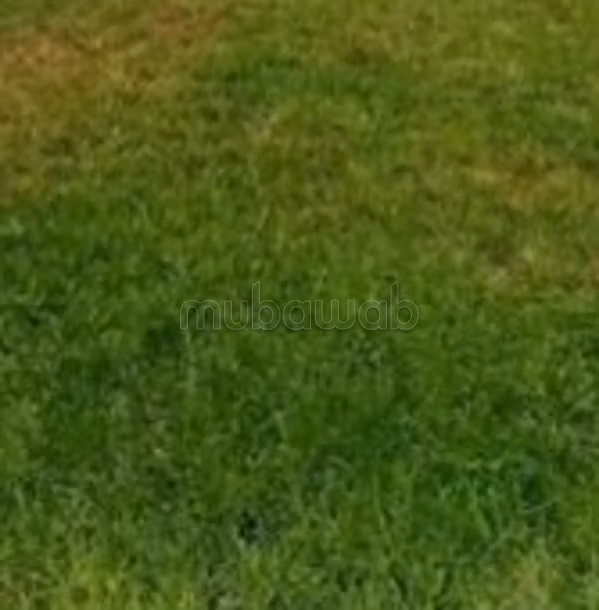 Land for sale 627 m² in Riyad — Photo 4