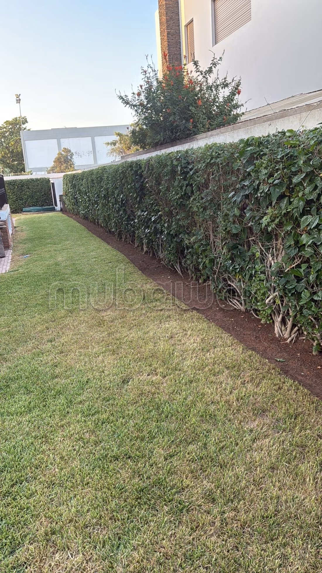 Villa 500 m² for rent in Rabat — Photo 20