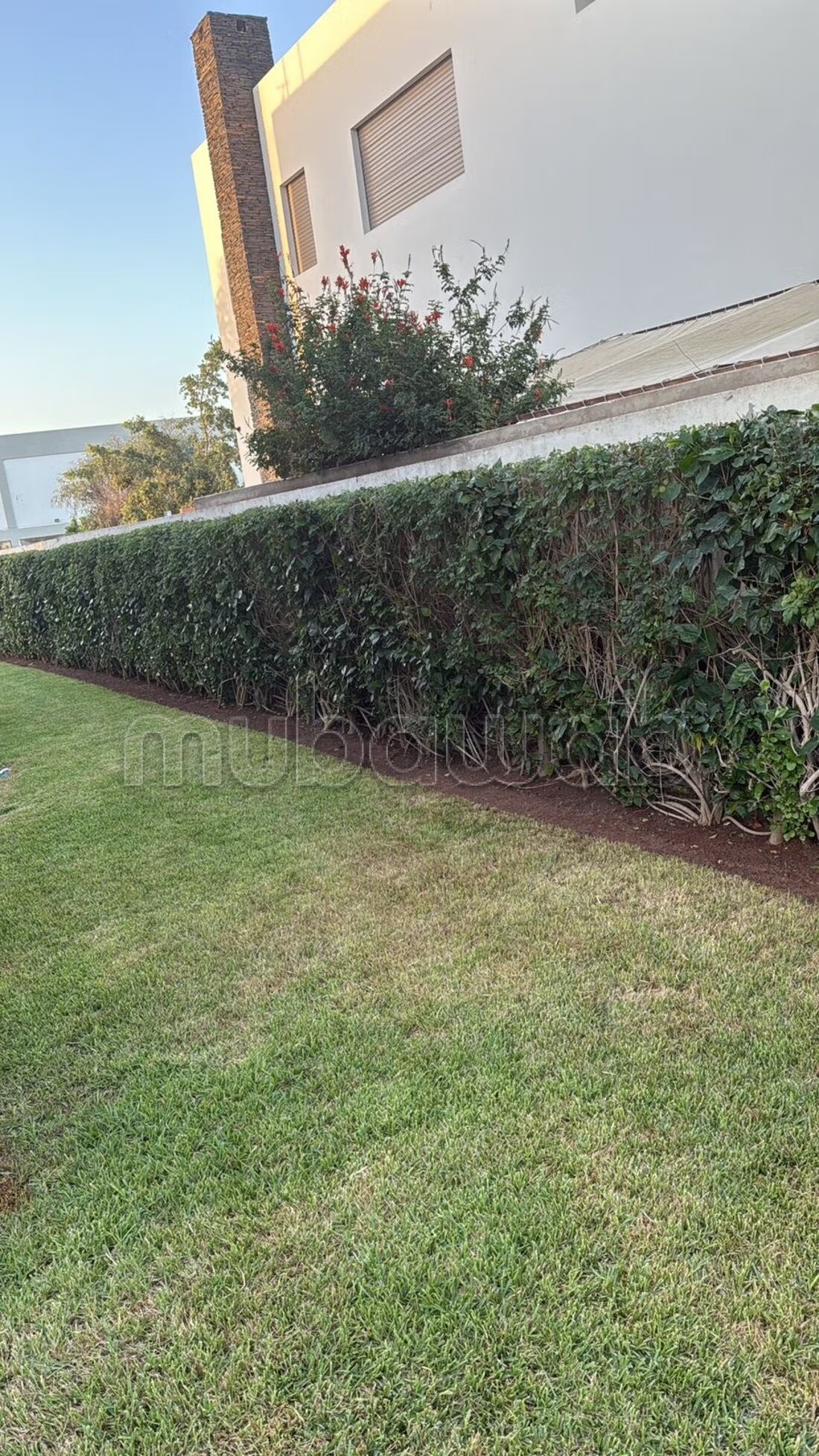 Villa 500 m² for rent in Rabat — Photo 17