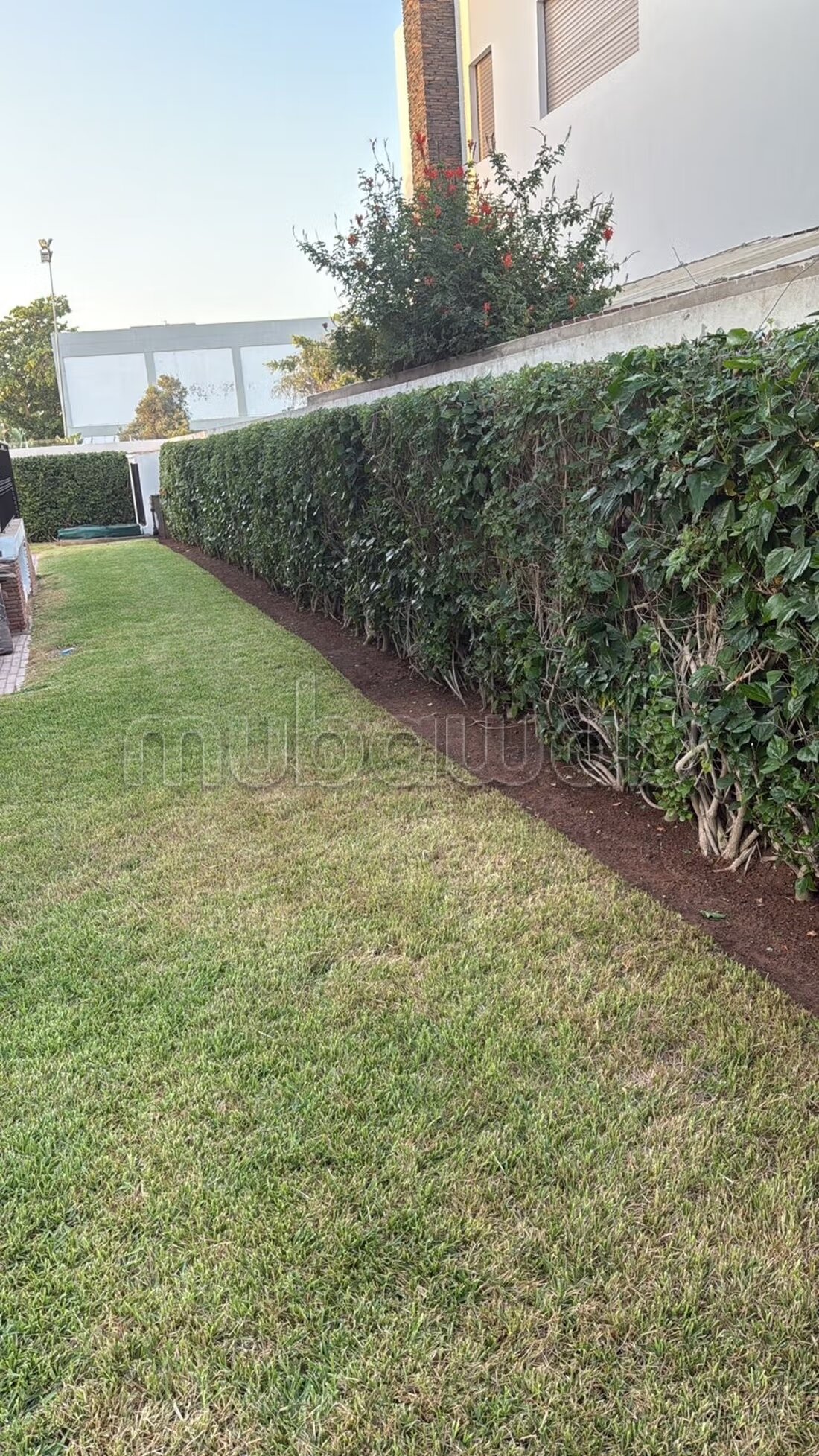 Villa 500 m² for rent in Rabat — Photo 19