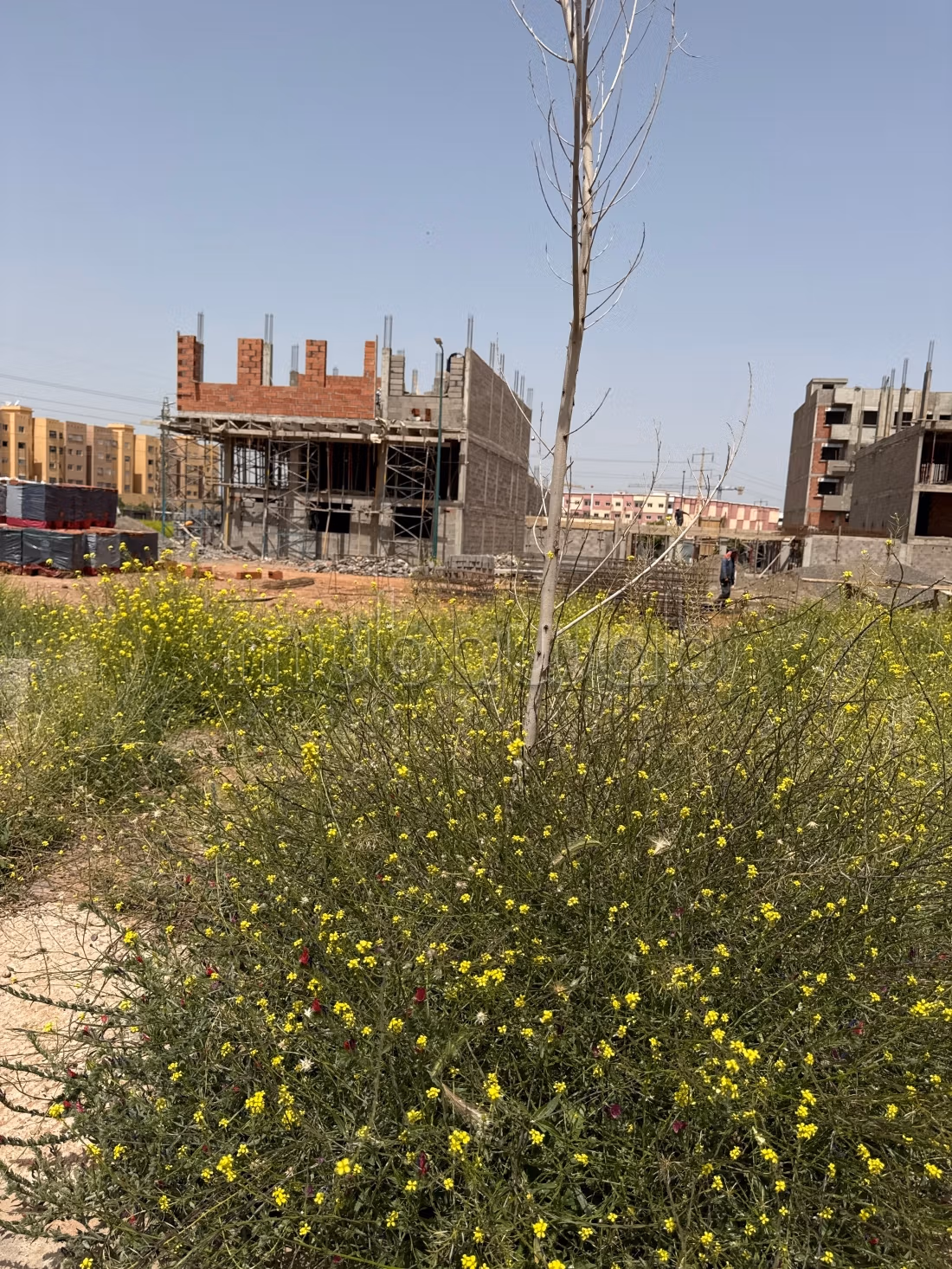 Terrain 500 m² à vendre à Mhamid, Marrakech — Photo 3